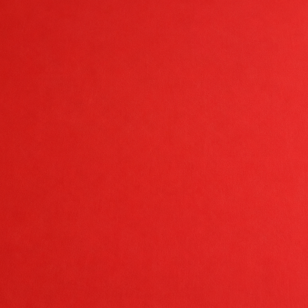 Baumwolljersey Rot