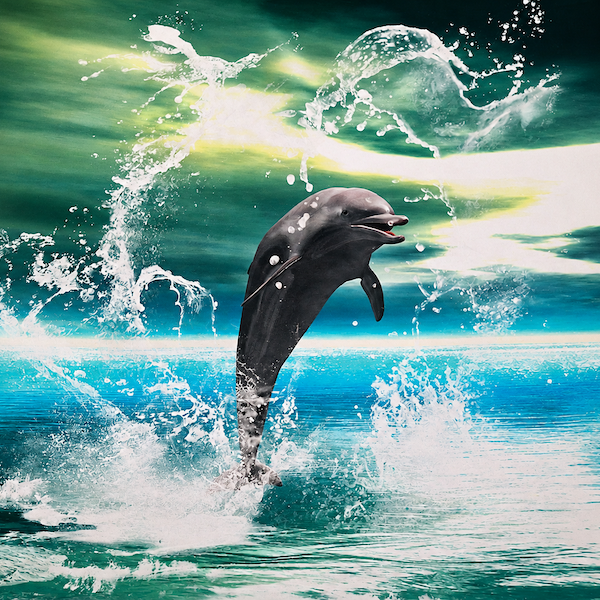 Baumwolljersey "Delfin" von Stenzo - Panel