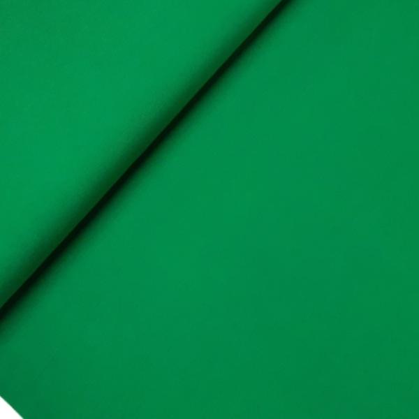 Jersey Baumwolle Grasgrün | Meterware